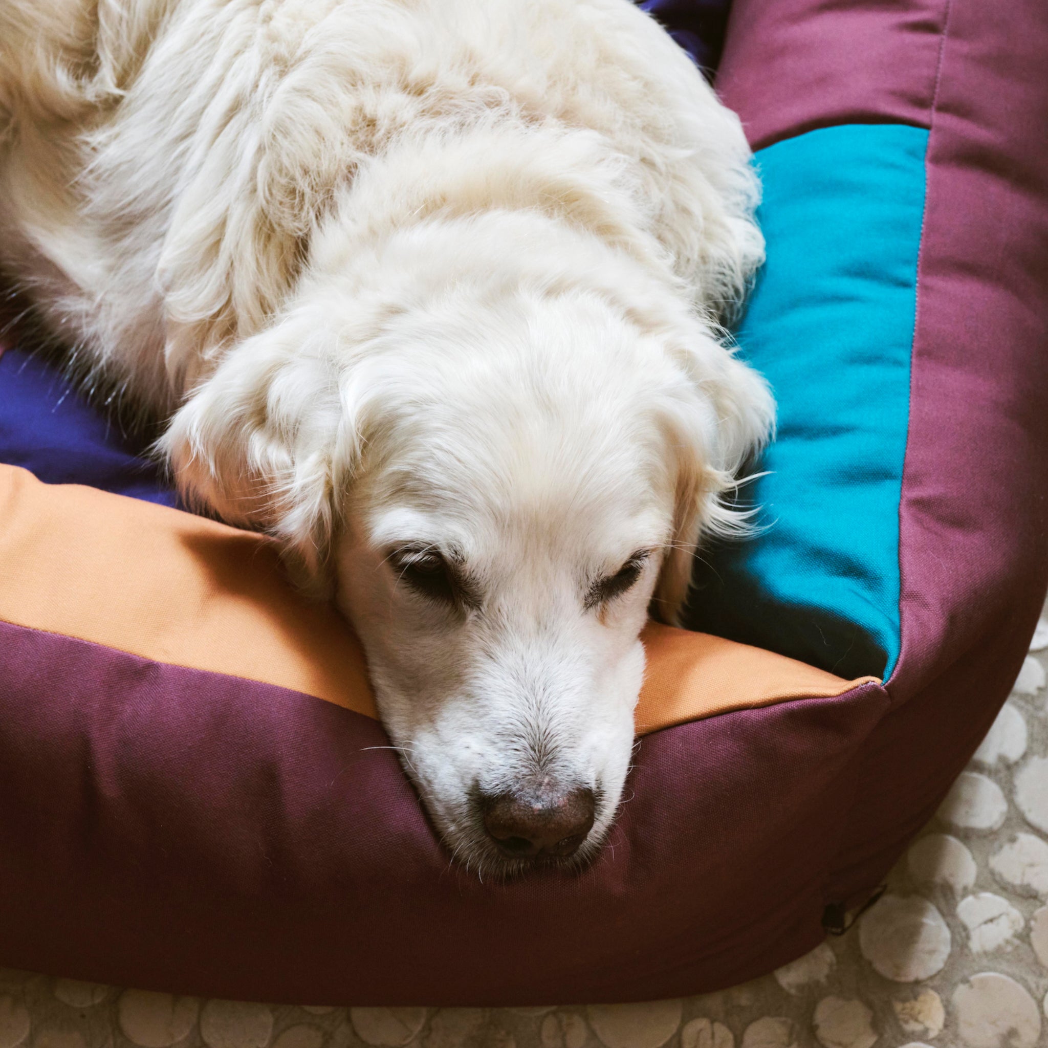 HAY DOGS BED LARGE BURGUNDY/GREEN