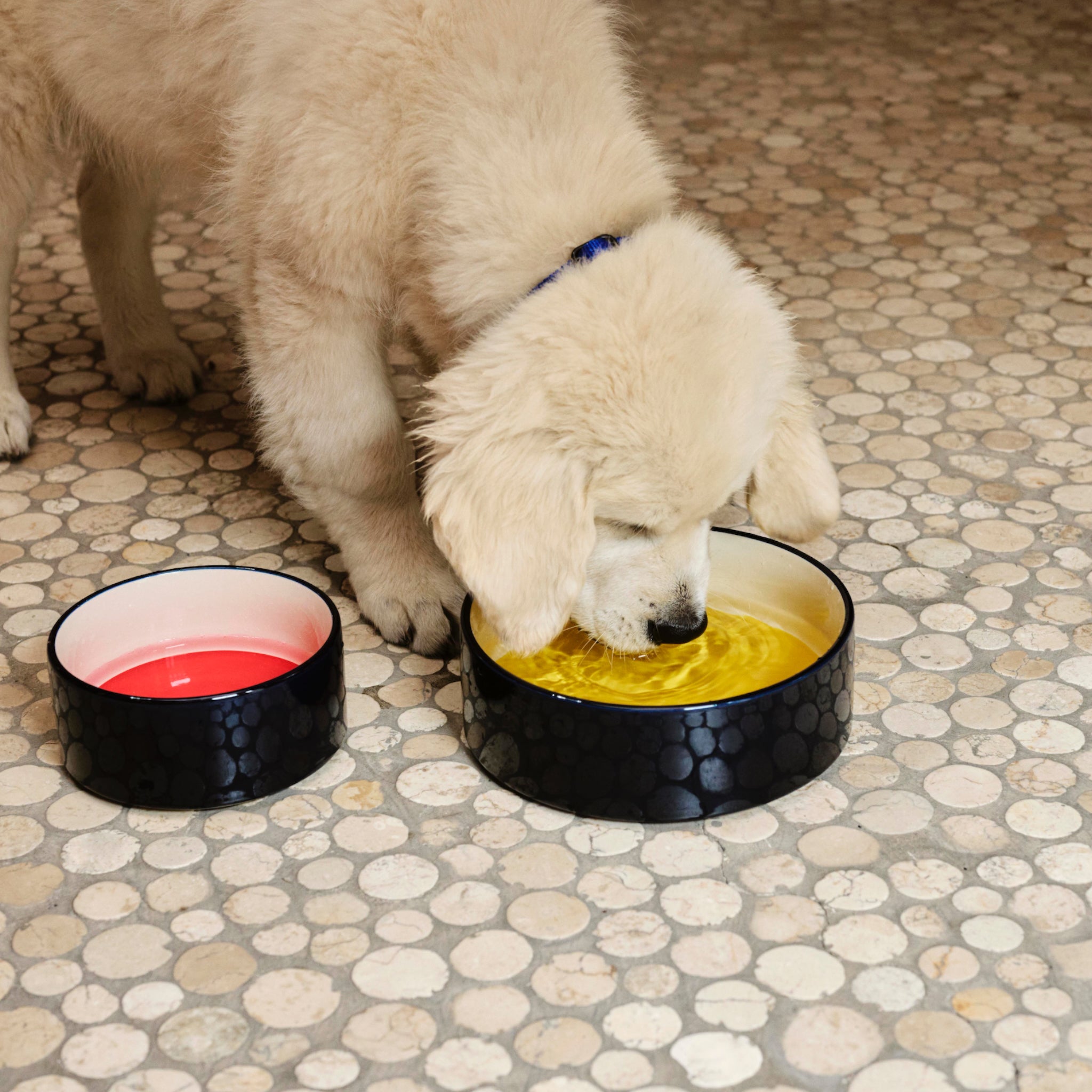 HAY DOGS BOWL LARGE (VARIOUS COLORS)