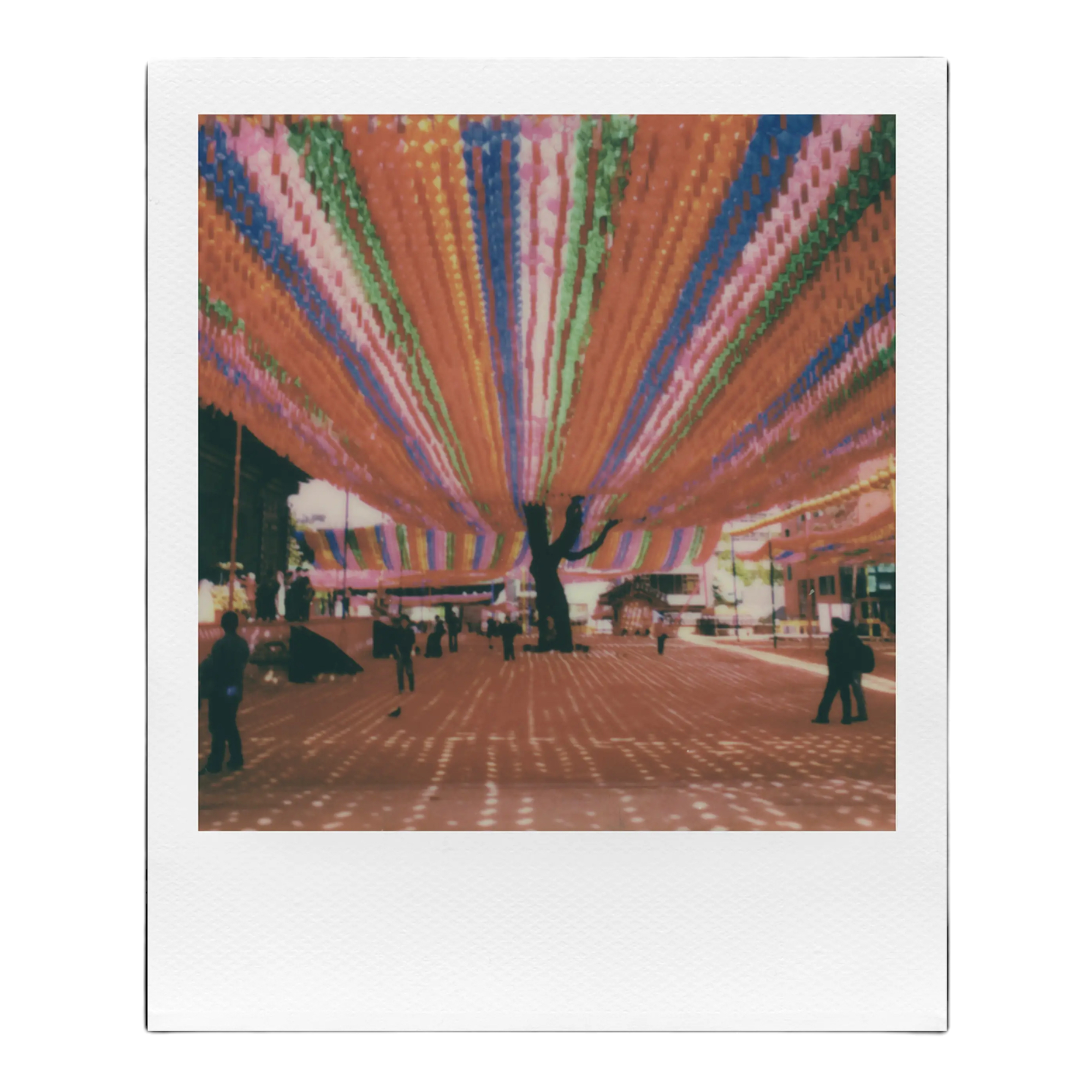 COLOR I-TYPE FILM Club Palma 